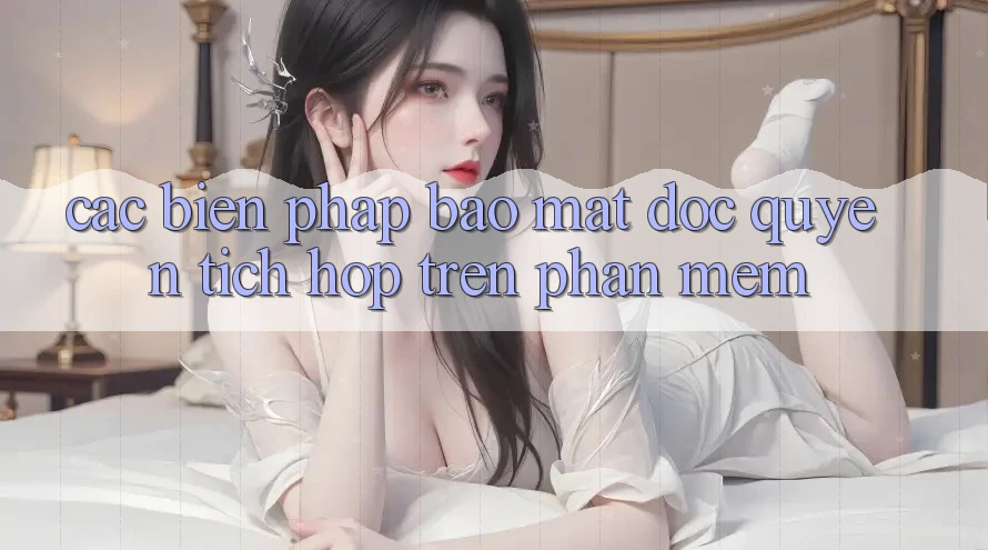 Các Biện Pháp Bảo Mật Độc Quyền Tích Hợp Trên Phần mềm Các Biện Pháp Bảo Mật Độc Quyền Tích Hợp Trên Phần mềm