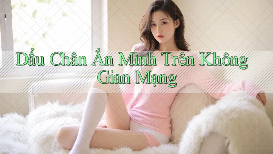 Dấu Chân Ẩn Mình Trên Không Gian Mạng Dấu Chân Ẩn Mình Trên Không Gian Mạng