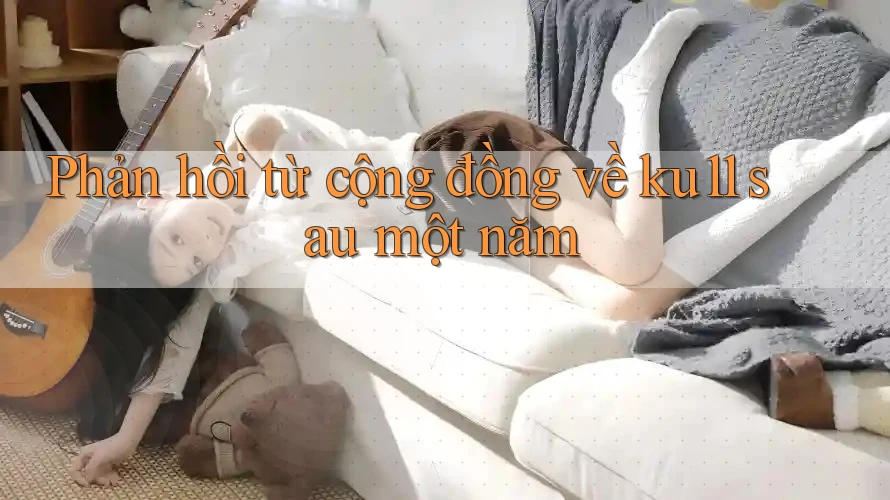 Phản hồi từ cộng đồng về ku11 sau một năm Phản hồi từ cộng đồng về ku11 sau một năm